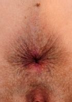 Abby Rain in young and hairy, Abby Rain (abb015) ATK Natural & Hairy: Abby Rain (Abby Rain in young and hairy)