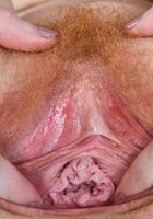 Abby Rain in young and hairy, Abby Rain (abb015) ATK Natural & Hairy: Abby Rain (Abby Rain in young and hairy)
