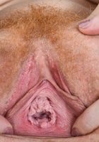 Abby Rain in young and hairy, Abby Rain (abb015) ATK Natural & Hairy: Abby Rain (Abby Rain in young and hairy)
