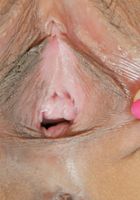 Agnes in upskirts and panties, Agnes (agn023) ATK Exotics: Agnes (Agnes in upskirts and panties)