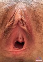 ATK Girlfriends: Ali Jones (ATK Girlfriends Ali Jones Photo Set)