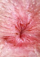 ATK Petites: Ali Jones (Ali Jones All Nude and Spreading)