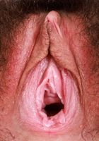 Amber Summer Gapes Her Hairy Pussy and Takes a Tinkle, Amber Summer (amb070) ATK Natural & Hairy: Amber Summer (Amber Summer Gapes Her Hairy Pussy and Takes a Tinkle)