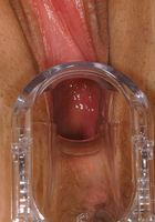 ATK Exotics: Angelica (Angelica in toys)