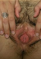 Anne in latinas, Anne (ann021) ATK Exotics: Anne (Anne in latinas)