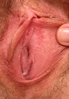 Anna loves to tease with her nice hairy pussy, Anna (ann058) ATK Archives: Anna (Anna loves to tease with her nice hairy pussy)