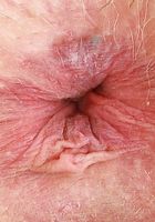 Annie Archer Spreads her Holes, Annie Archer (ann138) ATK Petites: Annie Archer (Annie Archer Spreads her Holes)