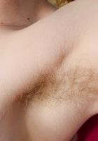 Apricot Pitts in young and hairy, Apricot Pitts (apr024) ATK Natural & Hairy: Apricot Pitts (Apricot Pitts in young and hairy)
