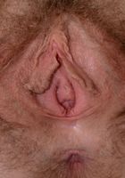 Apricot Pitts in young and hairy, Apricot Pitts (apr024) ATK Natural & Hairy: Apricot Pitts (Apricot Pitts in young and hairy)