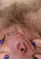Apricot Pitts in young and hairy, Apricot Pitts (apr024) ATK Natural & Hairy: Apricot Pitts (Apricot Pitts in young and hairy)