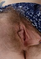 Apricot Pitts in young and hairy, Apricot Pitts (apr024) ATK Natural & Hairy: Apricot Pitts (Apricot Pitts in young and hairy)