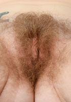 Apricot Pitts in young and hairy, Apricot Pitts (apr024) ATK Natural & Hairy: Apricot Pitts (Apricot Pitts in young and hairy)