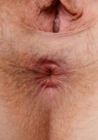 Apricot Pitts in young and hairy, Apricot Pitts (apr024) ATK Natural & Hairy: Apricot Pitts (Apricot Pitts in young and hairy)