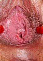 ATK Exotics: Aries Velour (Aries Velour in upskirts and panties)