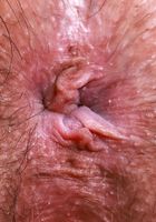 Asteria Jade from ATK Galleria