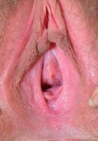 Ass up gaping, Aali Rousseau (aul001) ATK Natural & Hairy: Aali Rousseau (Ass up gaping)