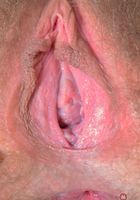 Aali goes ass up and spreads her hairy pussy and ass, Aali Rousseau (aul001) ATK Natural & Hairy: Aali Rousseau (Aali goes ass up and spreads her hairy pussy and ass)