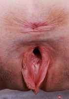 ATK Galleria: Avery Wilds (Avery Wilds Ass Up Pussy Spreading)