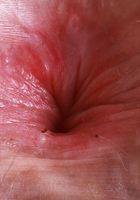 ATK Natural & Hairy: Big Eyes (Big Eyes is in a sporty kinda mood)