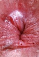 Big Eyes from ATK Natural & Hairy