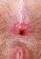 ATK Petites: Big Eyes (Big Eyes is a feast for the eyes)