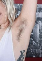 Bratty Wolfie from ATK Natural & Hairy