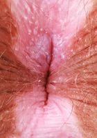 Bratty Wolfie Red Lingerie Strip, Bratty Wolfie (bra041) ATK Natural & Hairy: Bratty Wolfie (Bratty Wolfie Red Lingerie Strip)