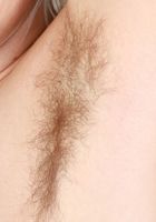 Bratty Wolfie in young and hairy, Bratty Wolfie (bra041) ATK Natural & Hairy: Bratty Wolfie (Bratty Wolfie in young and hairy)