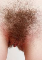Cassidy Bliss in young and hairy, Cassidy Bliss (cas069) ATK Natural & Hairy: Cassidy Bliss (Cassidy Bliss in young and hairy)
