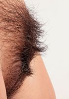 ATK Exotics: Cece Stone (Cece Stone in amateur)