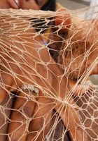 ATK Exotics: Christian (Christian in black women)