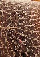 ATK Exotics: Christian (Christian in black women)