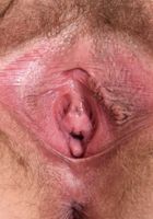 Claire Daze in young and hairy, Claire Daze (cla069) ATK Natural & Hairy: Claire Daze (Claire Daze in young and hairy)