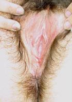 Cori in nudism, Cori (cor010) ATK Archives: Cori (Cori in nudism)