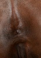 Daizy Cooper in black women, Daizy Cooper (dai025) ATK Exotics: Daizy Cooper (Daizy Cooper in black women)