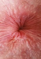 ATK Galleria: Daisy Lavoy (Daisy Lavoy Outdoor Lingerie Strip)