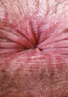 ATK Natural & Hairy: Dakota Marr (Dakota Marr Big Bush Lingerie Spreads)