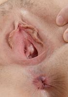 Darcie Belle in amateur, Darcie Belle (dar030) ATK Premium: Darcie Belle (Darcie Belle in amateur)