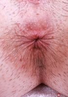 ATK Petites: Daydream Daisy (Daydream Daisy welcomes you to Hooters)