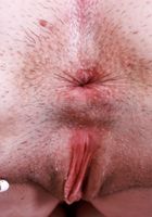 ATK Petites: Daydream Daisy (Daydream Daisy can't wait)