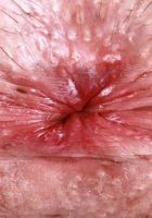 ATK Galleria: Daydream Daisy (Daydream Daisy wants it in her or on her)