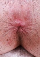 ATK Petites: Daydream Daisy (Daydream Daisy brought you flowers)