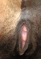 Nina Devon in exotic and hairy, Nina Devon (dej001) ATK Petites: Nina Devon (Nina Devon in exotic and hairy)