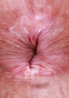 ATK Galleria: Dez Hansen (Dez Hansen Silky Undergarments Strip Foot Fetish Pussy Speading)