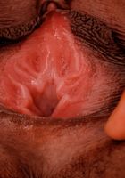 ATK Exotics: Dimples (Dimples in toys)