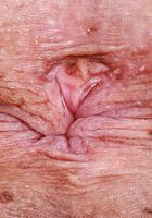 ATK Galleria: Dolly Paige (Dolly Paige is so happy to see you)