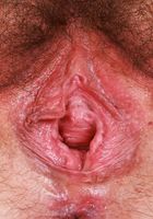 Dria Submits lets her hairiness take center stage, Dria Submits (dri003) ATK Natural & Hairy: Dria Submits (Dria Submits lets her hairiness take center stage)