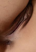 Elle Voneva in exotic and hairy, Elle Voneva (ell038) ATK Natural & Hairy: Elle Voneva (Elle Voneva in exotic and hairy)
