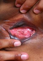 ATK Exotics: Elsalyee (Elsalyee in latinas)