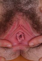 Emma Evins is dressed to impress, Emma Evins (emm030) ATK Natural & Hairy: Emma Evins (Emma Evins is dressed to impress)
